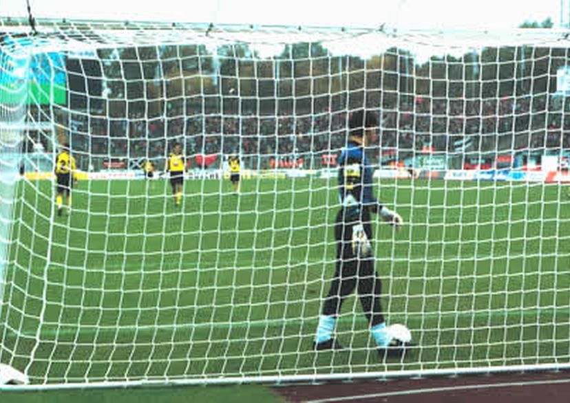 voetbaldoelnet 7.50m x 2.50m - ECO