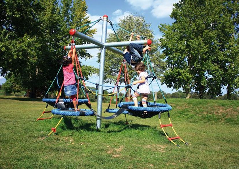 Vogelnestboom mini