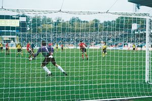 voetbaldoelnet 7.50m x 2.50m - ECO