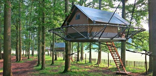 Boomhut beveiliging