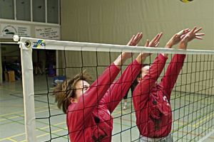 Volleybal trainingsnet "exclusief"