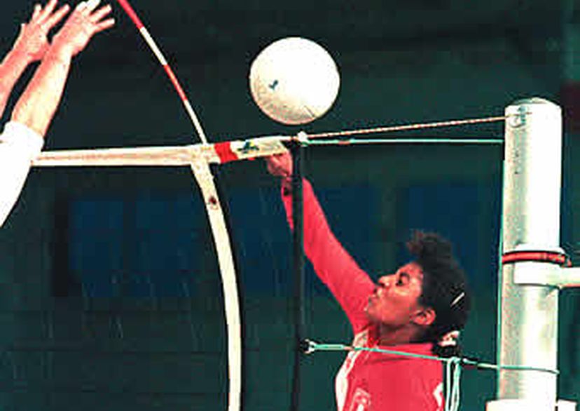 Volleybal antennes ééndelig met houder