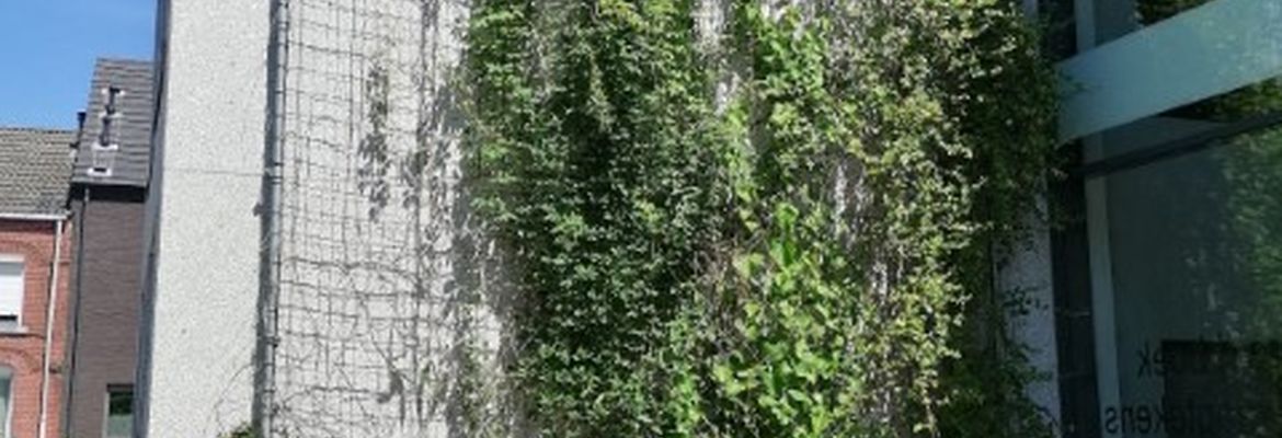 Groene Gevels Groene Gevels