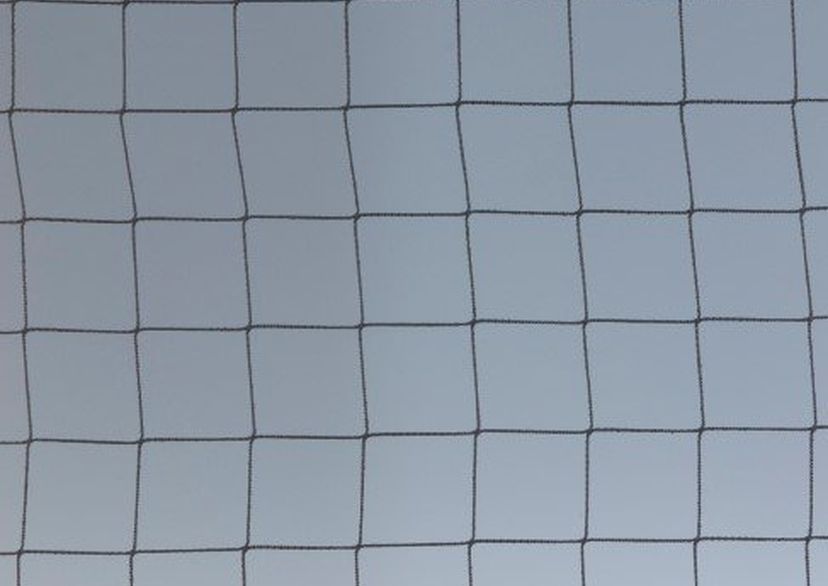 Net 1.5 mm PP, vierkante maas 50 mm