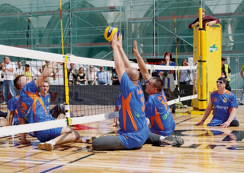 Zitvolleybalnet