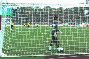 voetbaldoelnet 7.50m x 2.50m - ECO
